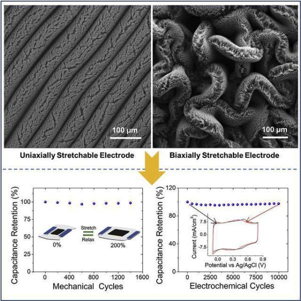 必发·bifa(中国集团)唯一官方网站